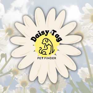 Daisy Tag Pet Finder