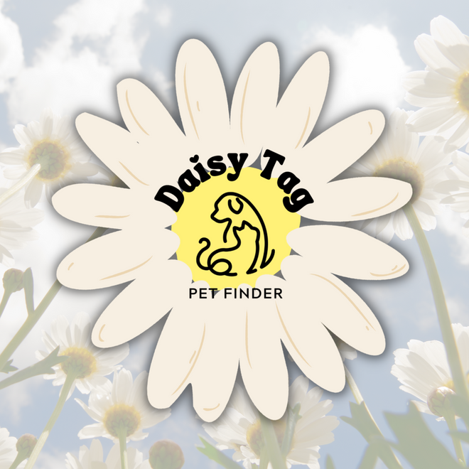 Daisy Tag Pet Finder