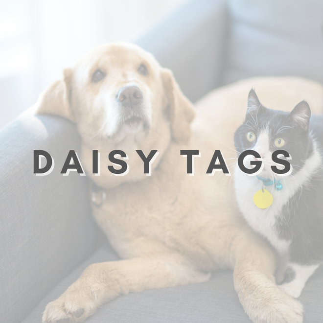 Furbabies